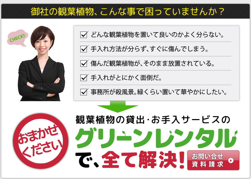 御社の観葉植物こんな事で困っていませんか?→グリーンレンタルで全て解決!