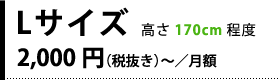 Lサイズ:2,000円(税抜き)〜