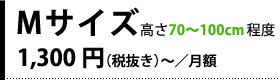 Mサイズ:1,300円(税抜き)〜