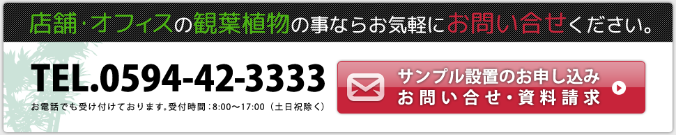 観葉植物のことならグリーンレンタルへお問い合せください。